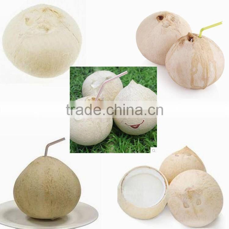 Professional coconut deshelling machine/coconut dehusker/coconut dehusker