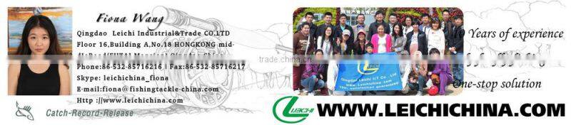 Magnetic & Centrifugal Dual brake system baitcasting reels