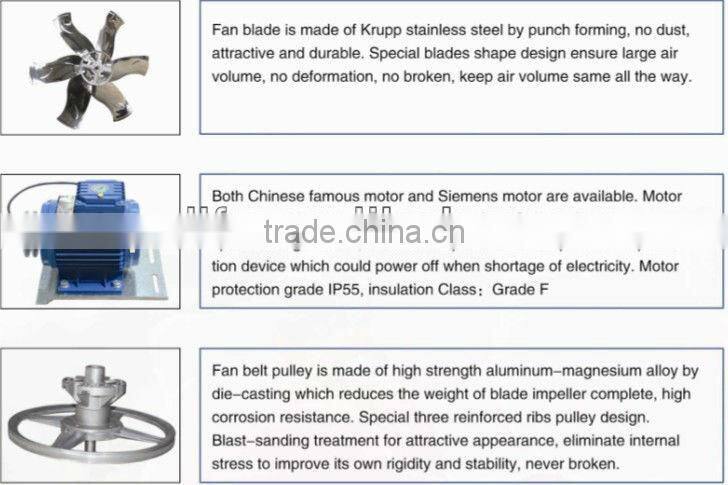 DLF AC industrial exhaust fan