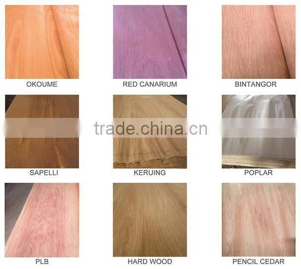 linyi Factory Rotary Cut grade a b c 0.30mm 4'x8' bintangor face Veneer
