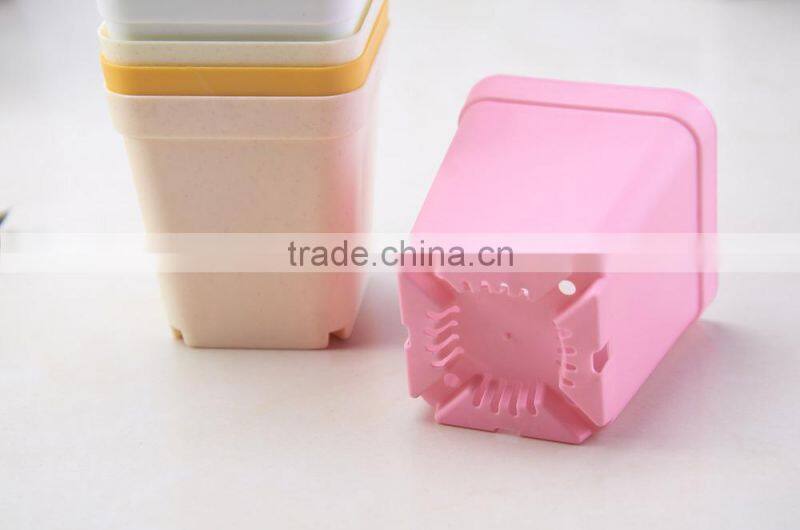 Plastic Colorful Small Square Flower Pots Without Pallet -3 inch