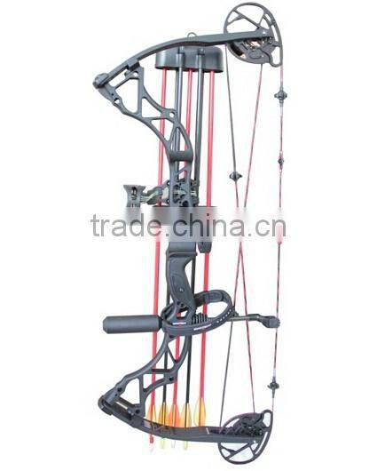archery hunting compound bow