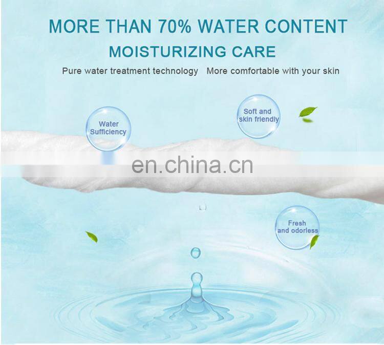 Cat Dog Wipes Natural Safe Ingredients Premium Clean Deodorize Kitten Puppy Wipes for Pet