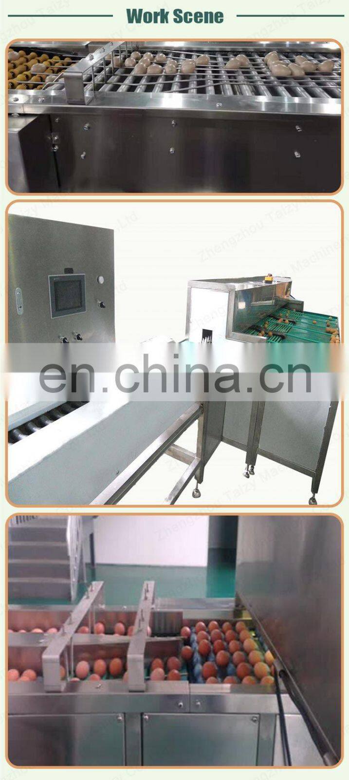 Industrial egg sorting machine candling grader