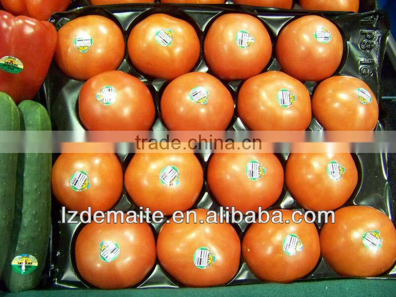 Plastic Insert Tray For Food