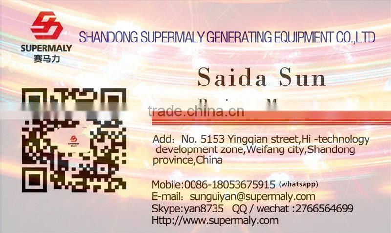 green power 20kva-1000kva low consumption & on site installation Biogas generator