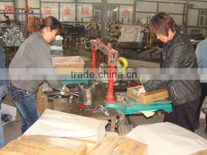 China Manufacturer Wall Ties for Construction Formwork