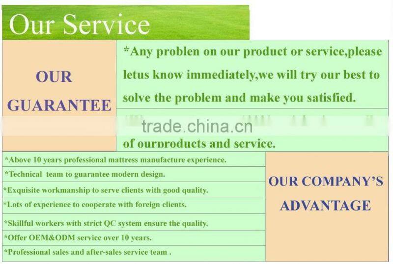 2016 The Most Popular China Wholesale King Size Euro Top Pocket Spring Mattress-ZRB 175