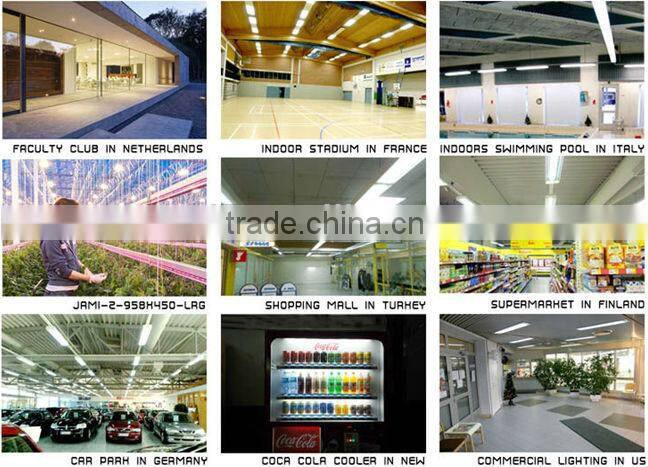 led light T8 bulb UL DLC listed