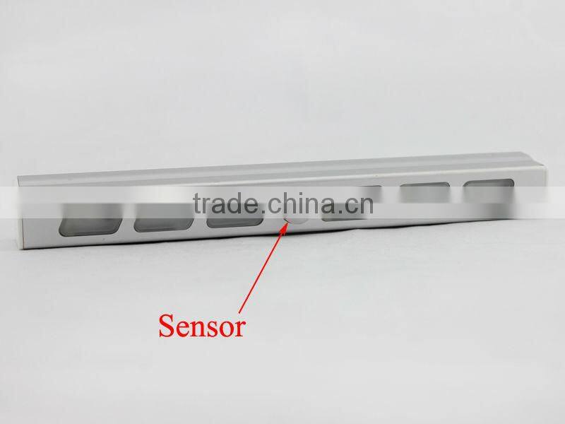 Aluminum Material 6LED Indoor Motion Sensor Light