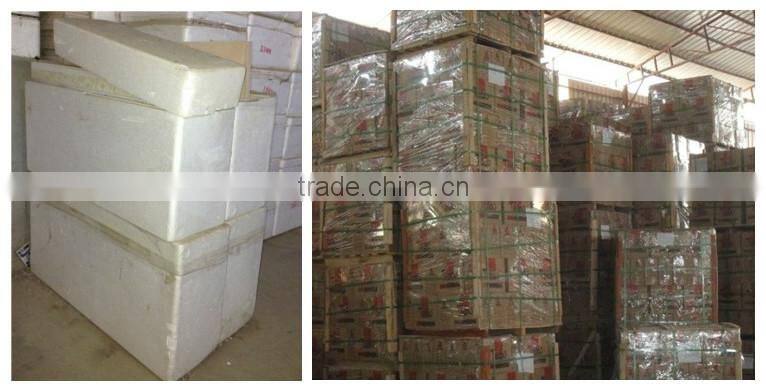 3d inkjet exterior wall tile with high quality 300x600mm