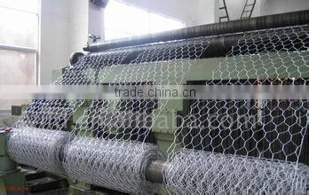 Xinxiang competitive Hexagonal Wire Netting