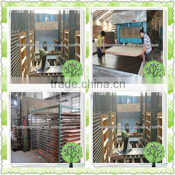 Decorative Purpose Decking Plywood