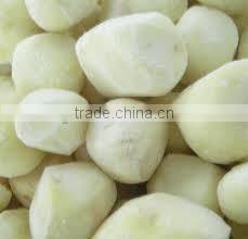 Supply IQF Frozen Potato Ball with best price