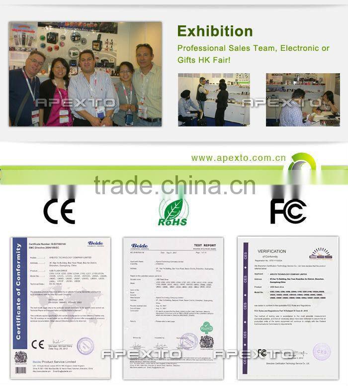 Cheap Price Plastic USB2.0 High Quality Logo Available USB Flash Memory Disk (U-101)