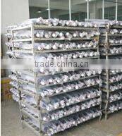 BIJIA 10 times the spectacles type telescope