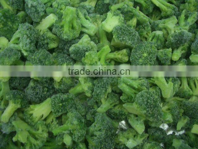 shandong fresh frozen broccoli florets