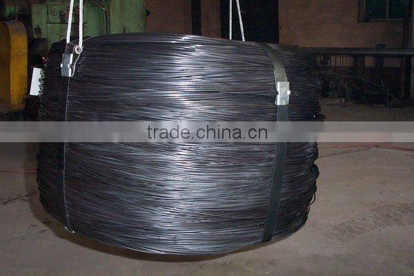 Anping factory supply different kinds of wires--black annealed iron fence wire