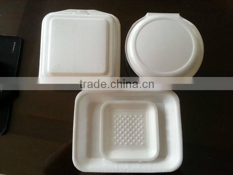PS Disposable Food Container Making Machine(Europe quality)