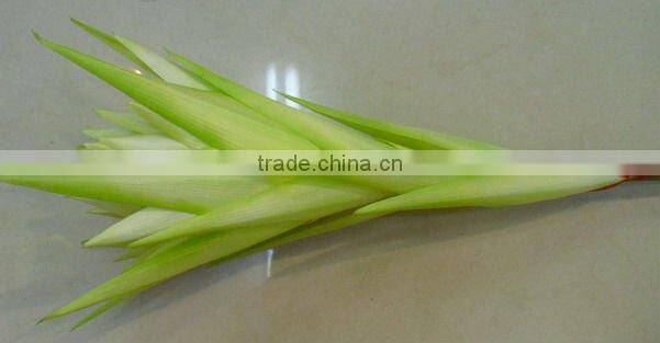 artificial flowering plant seide blume