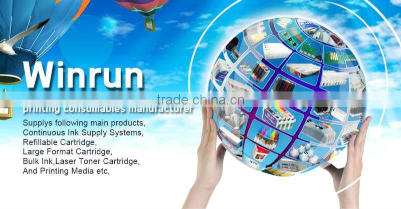 Pigment Ink for Stylus Photo R2880