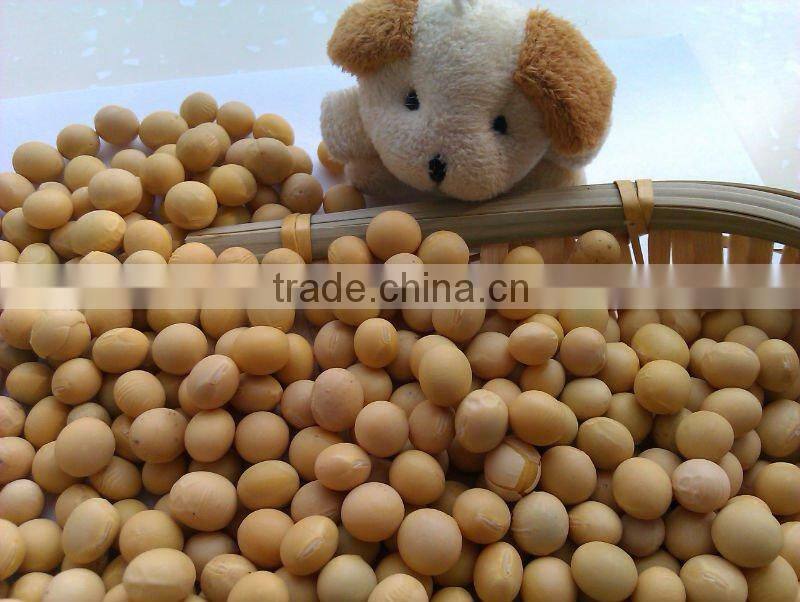 Organic Soybeans( New Crop, Heilongjiang Origin)