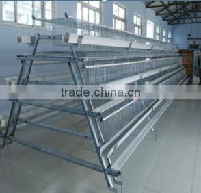 Poultry Cage/poultry equipment