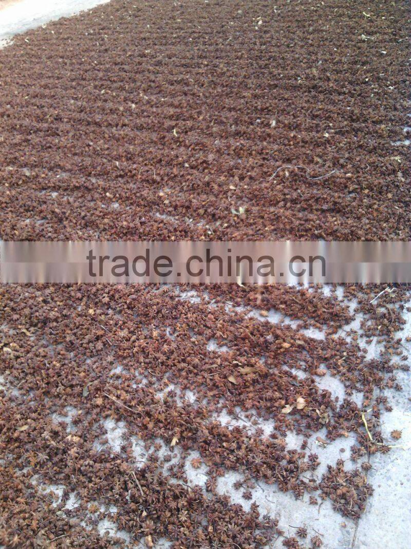 Good Qulity Grade A Ganzhi Star Anise