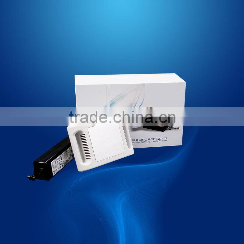 CE Approved cryo slimming fat removal machine home use cryolipolisis