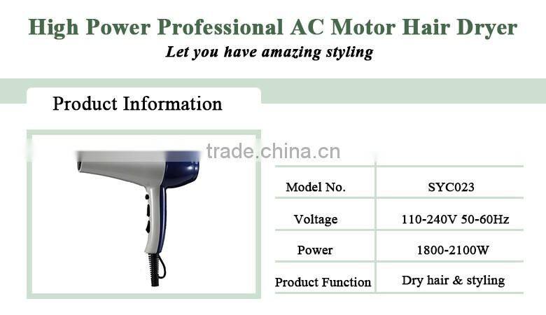 commercial price Professional AC hair dryer OEM color