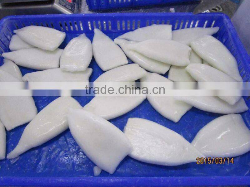 IQF squid tube fish Todarodes Pacificus