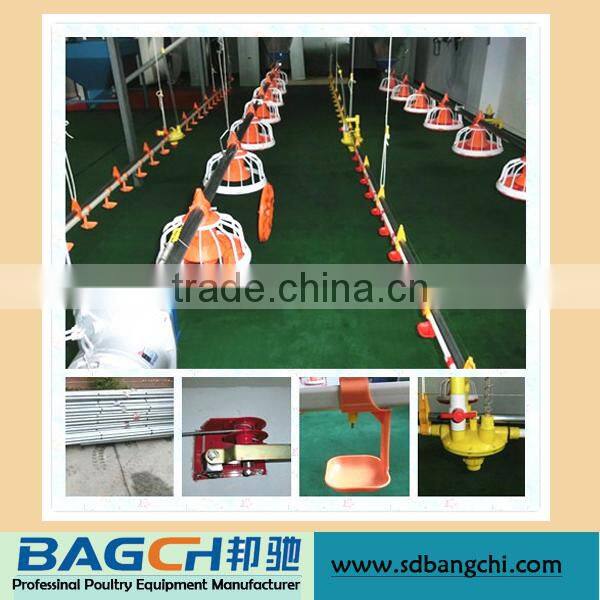 Ready Sale Chicken Farming Materials/Equipment for Poultry