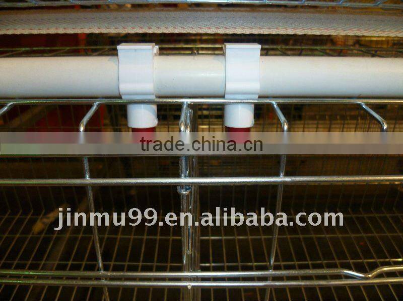 broiler chicken cage egg layer cage made in China