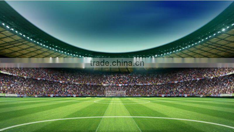 Best football field synthetic grass carpet