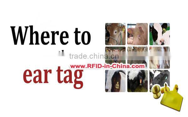 134.2KHz Cattle RFID Tags RFID Ear Tags for Cattle Tracking