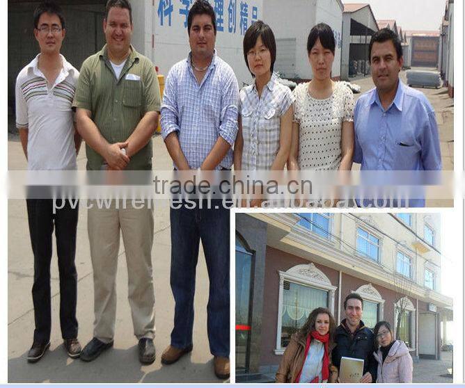 Swimming pool Fencing