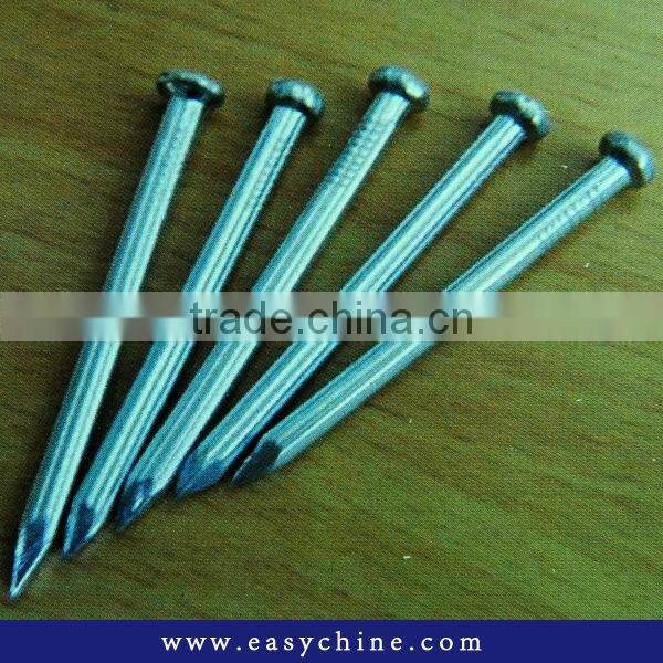 Wire Nail Plated SS