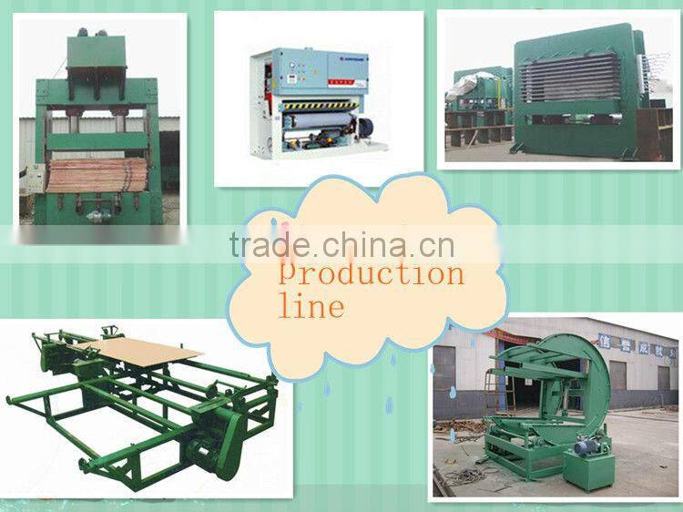 Well sell plywood production line/veneer side sanding machine