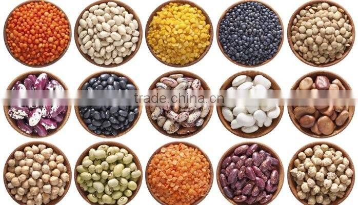 Hot sale 4 ChutesPeanut Color Sorter /Grain Color Sorter Machine