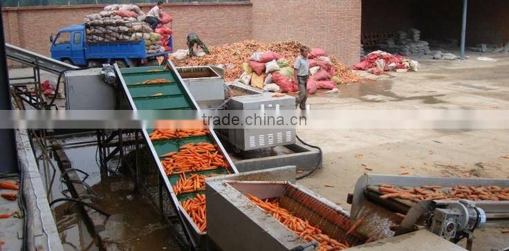 Carrot Washing Peeling Prodcution Line Processing Line