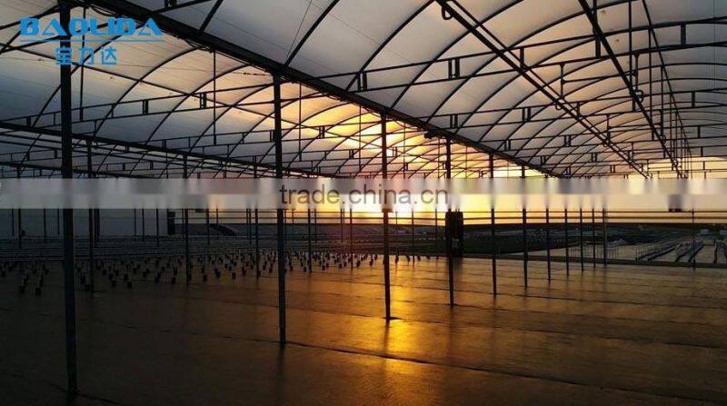 large plastic film greenhouse with control system for plant growth