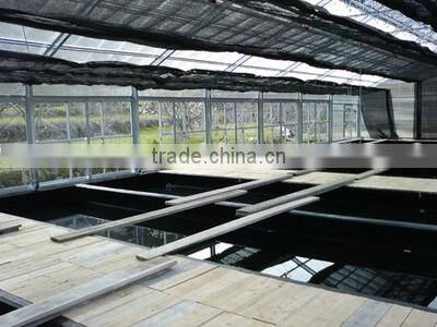 Multi-span greenhouse with greenhouse window opener system