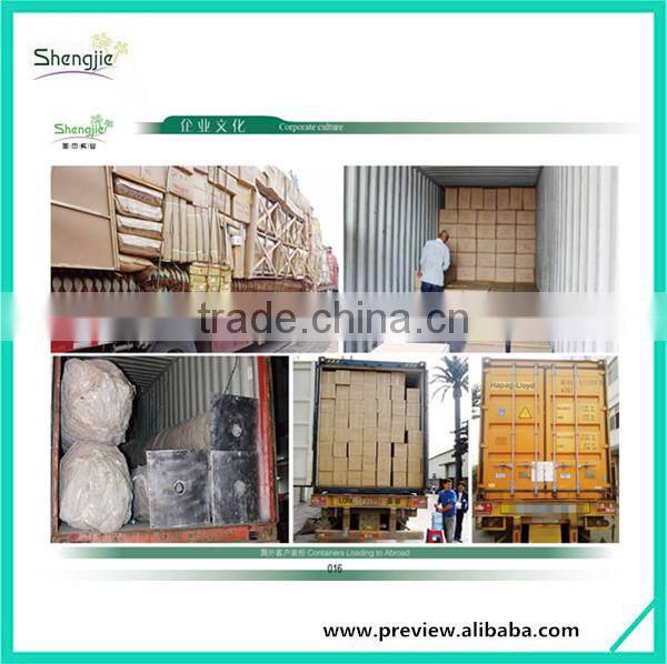 SJ12001162 Name potted decorative foliage plant plastic plant indoor