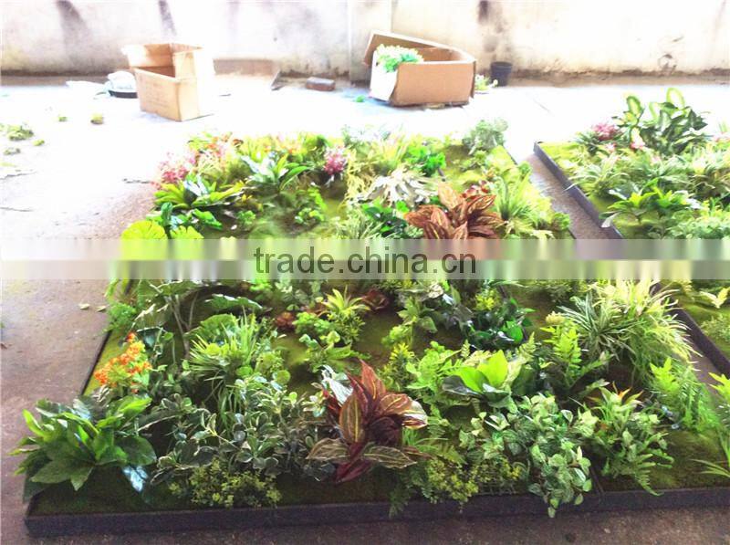 Home garden wedding decoration 200cm*100cm green original succulent with moss carpet grass wall E03 0504