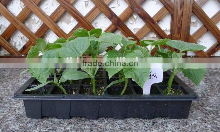 Greenhouse plant starting kit seeds nursery trays