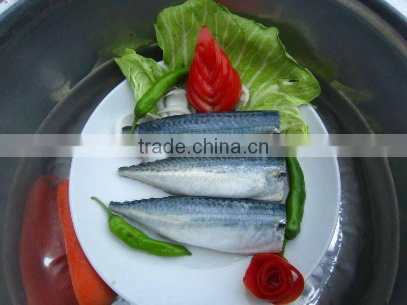 HG and HGT Horse mackerel