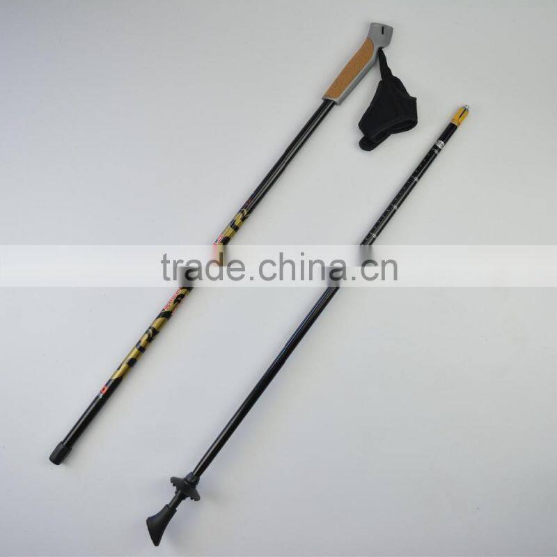 Wholesale new arrival gs approved 100% carbon nordic walking stick