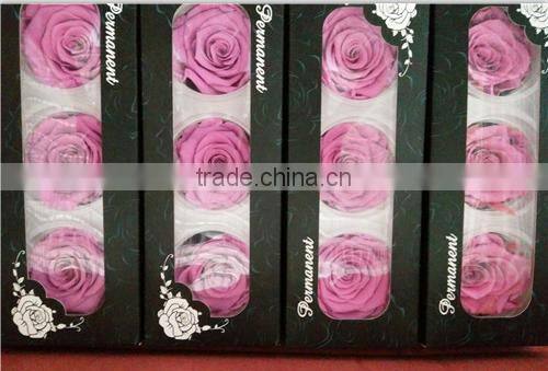 everlasting rose A grade 6 to 7 cm preserved rose from Yunnan