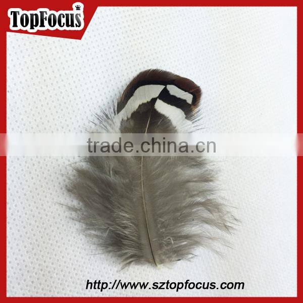 hot sale dyed Wholesale Natural cheap artificial pheasant feathers prices