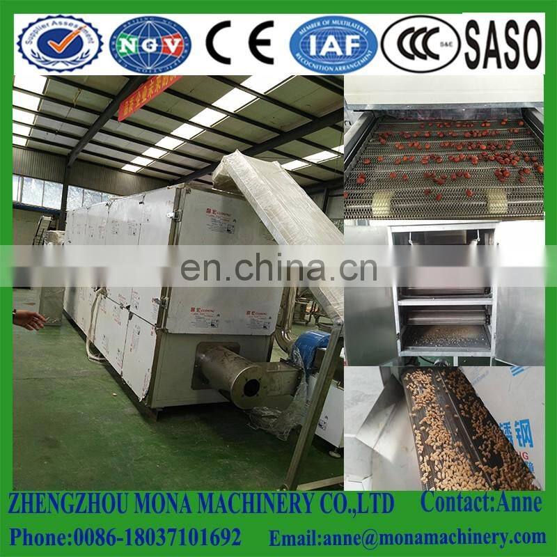 Automatic Gas/Multi-layer Conveyor Mesh Belt Dryer/tunnel food drying oven /machine for fruit and vegetable dry